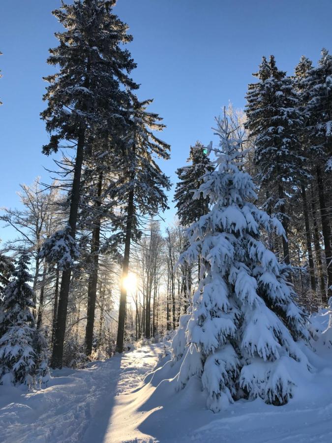 Ubytovani U Potoka Дештне-в-Орлицьких-Горах Екстер'єр фото