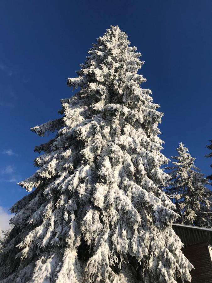 Ubytovani U Potoka Дештне-в-Орлицьких-Горах Екстер'єр фото