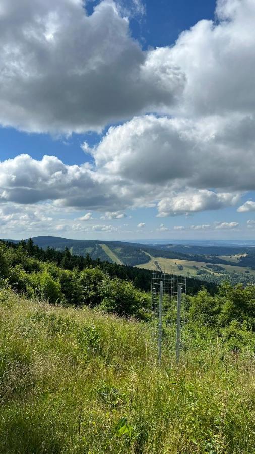 Ubytovani U Potoka Дештне-в-Орлицьких-Горах Екстер'єр фото